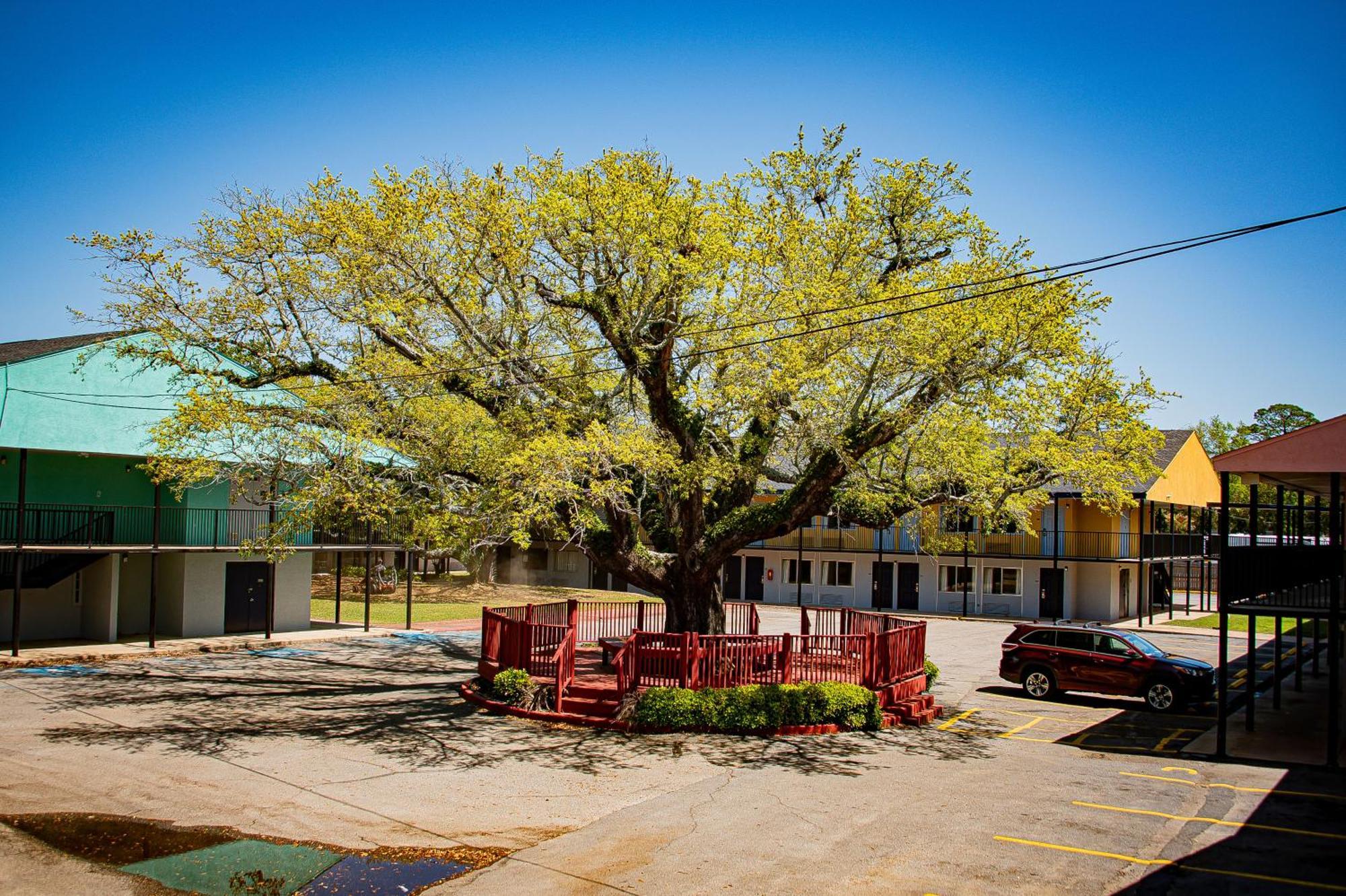 Super 8 By Wyndham Biloxi Motel Exterior photo
